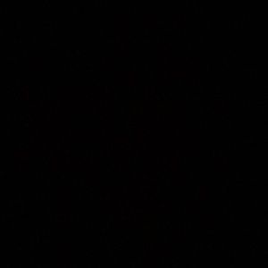 Meet your Posher, Andie